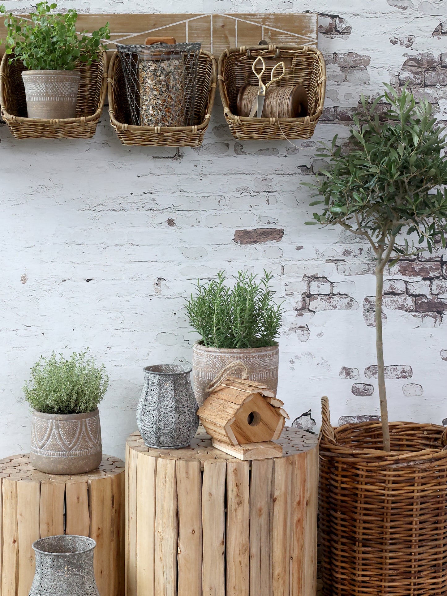 Eucalyptus wood stool/ table