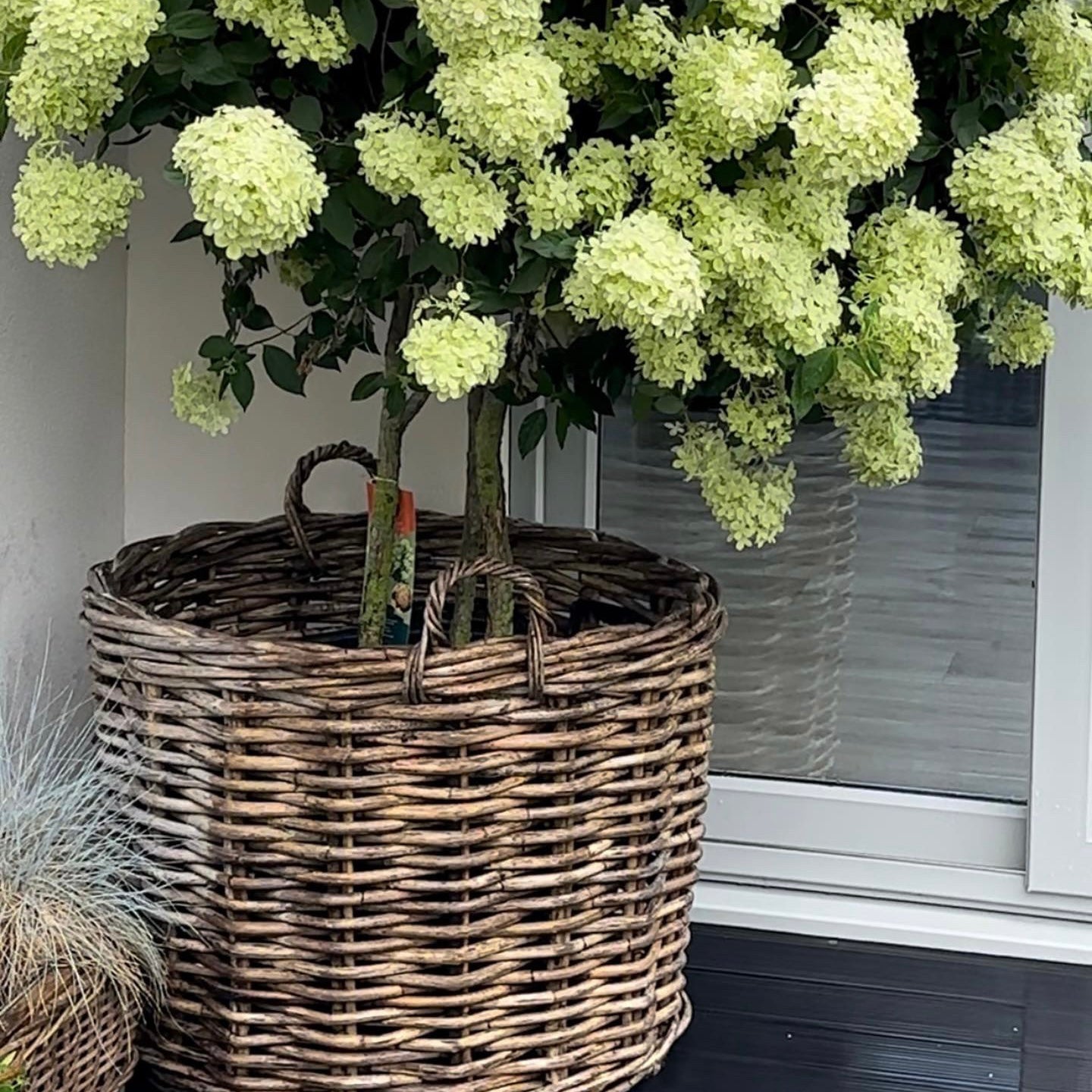 Round Wicker Baskets
