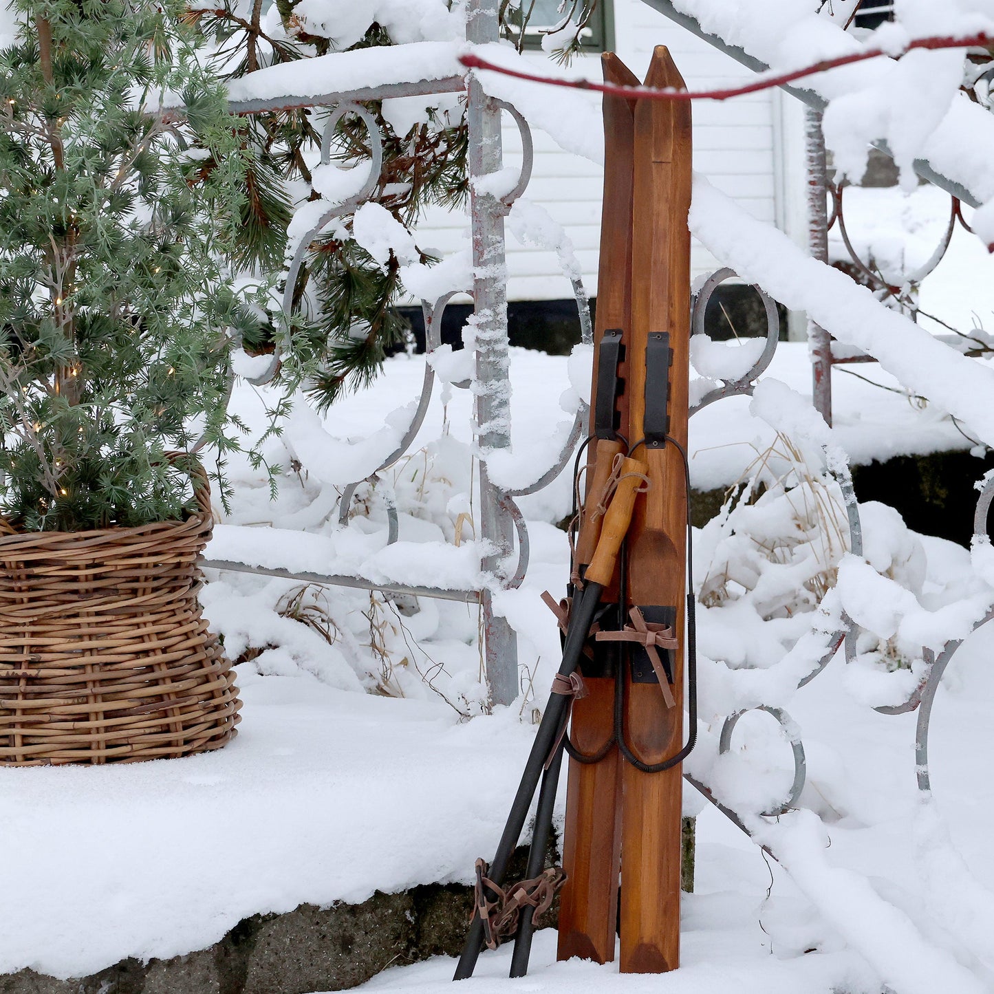 Vintage Skis With Poles