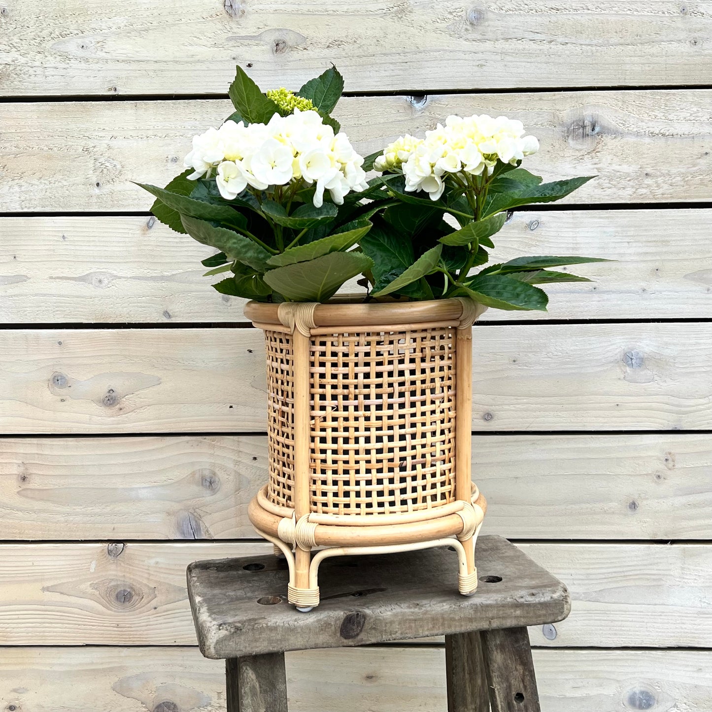 French Wicker Plant Stand