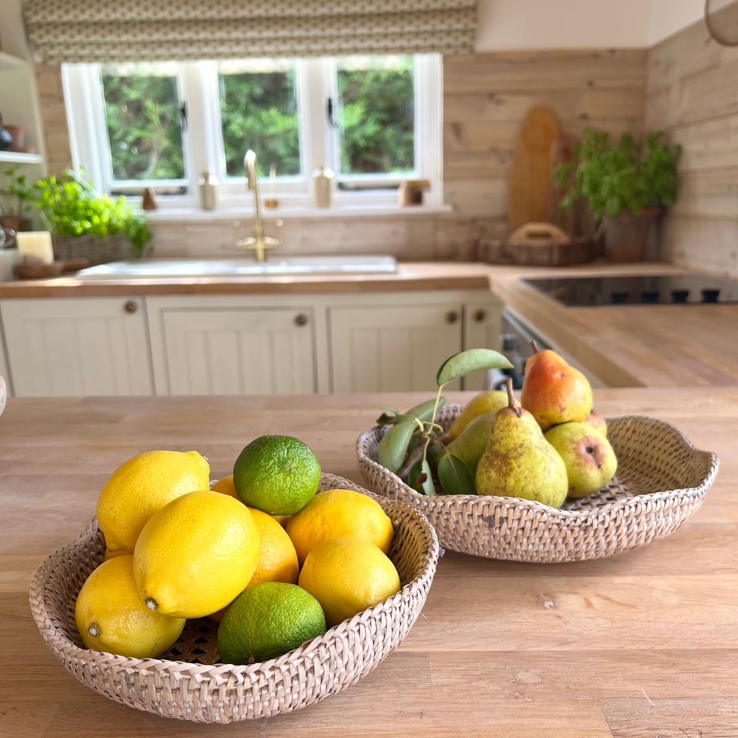 Rattan Decorative Bowls