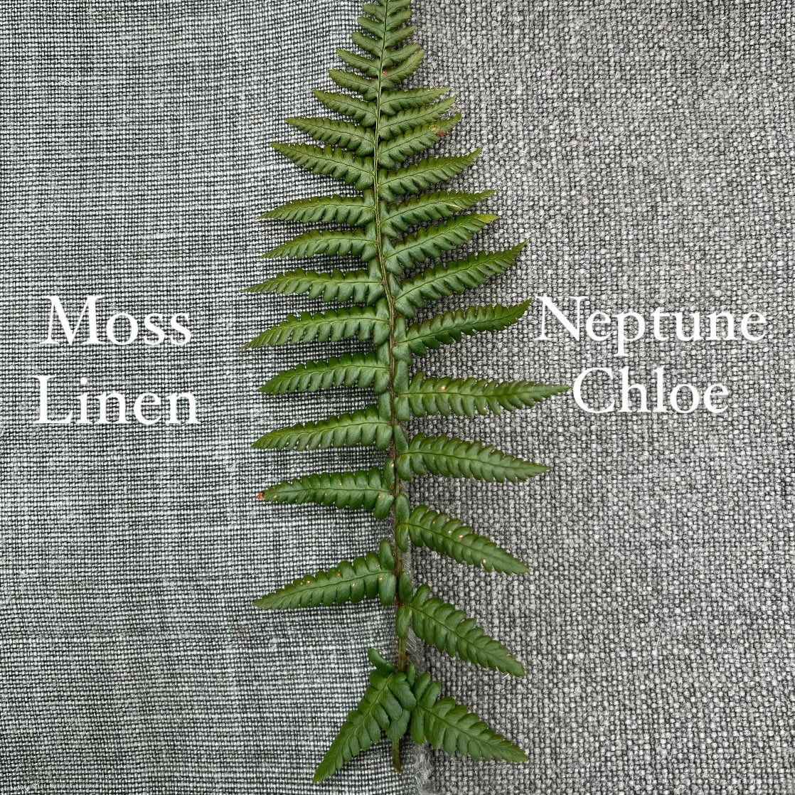 Moss Linen Oxford Cushions