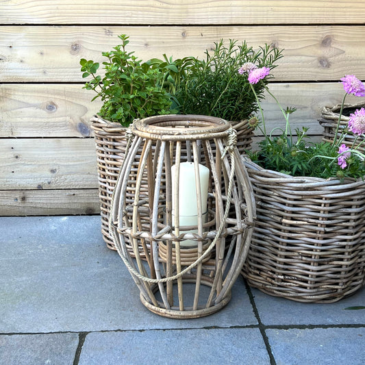 Oval Rattan Lantern