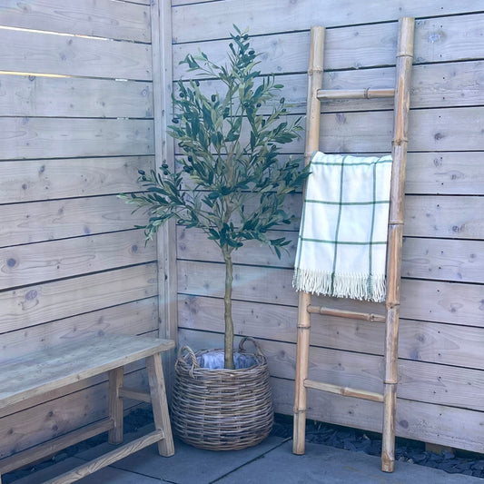Round Belly Planter