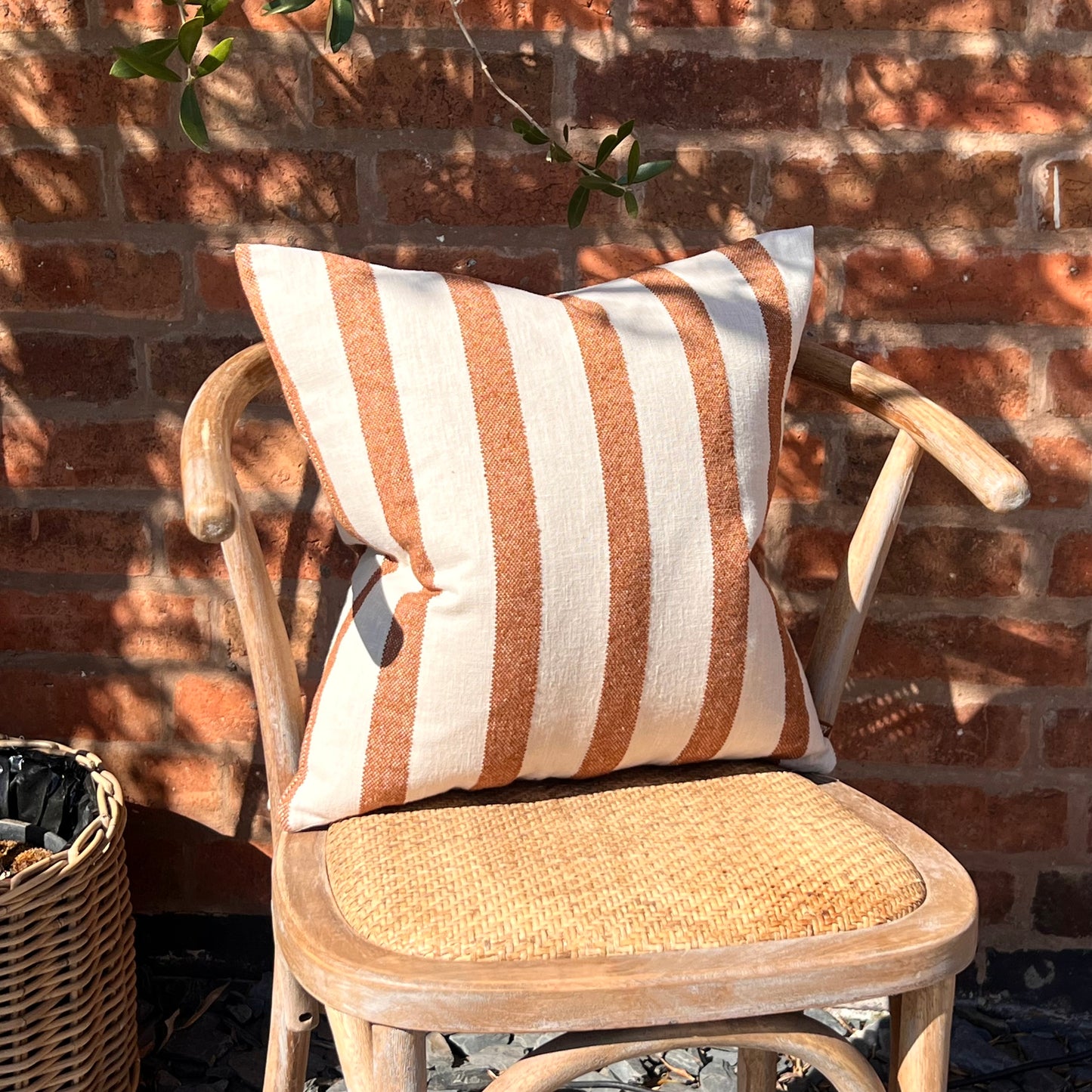 Stripe Rust Cushion