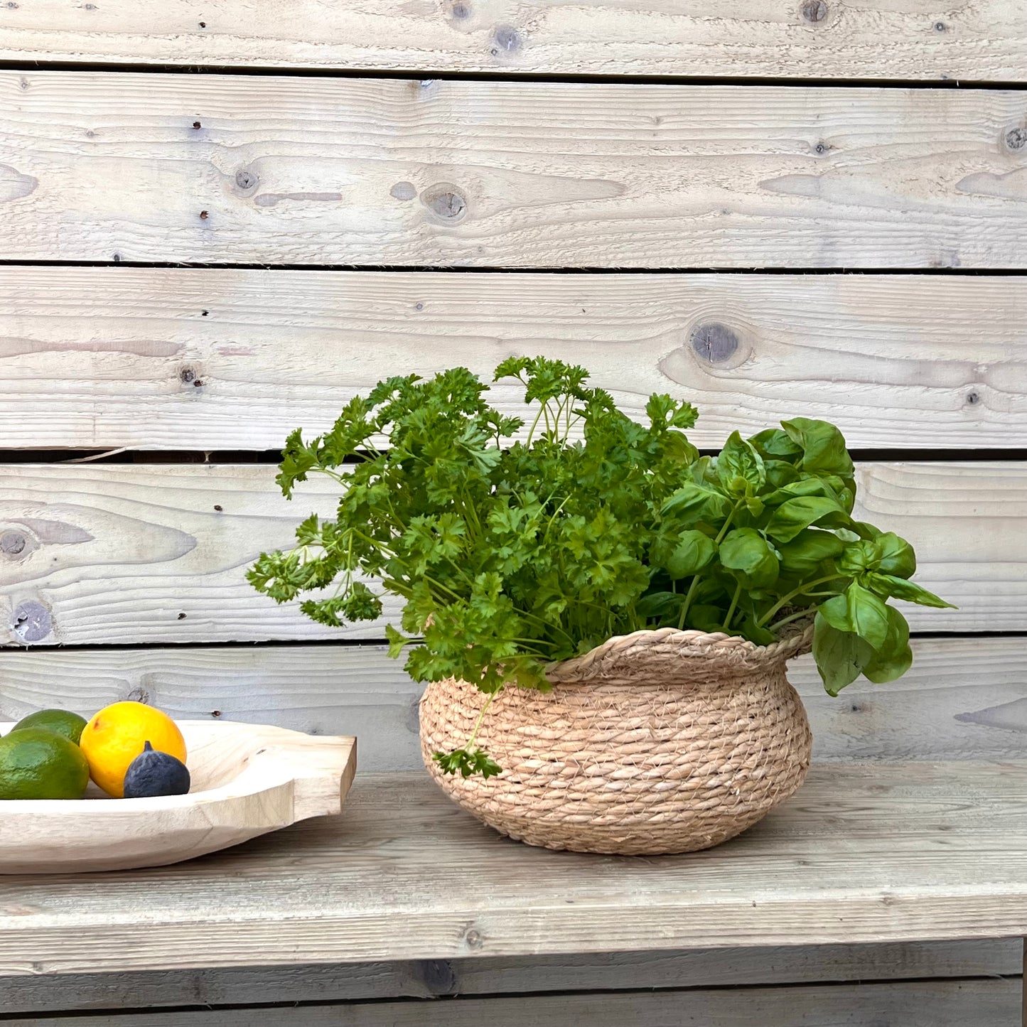 Seagrass Basket Planter