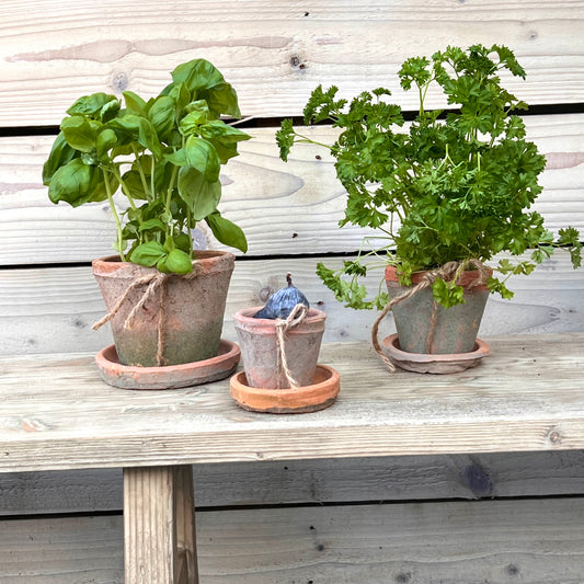Mossed Redstone Pots