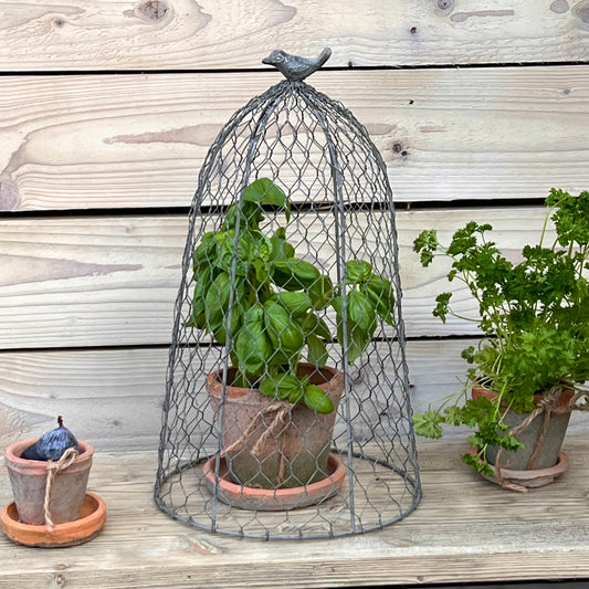 Chicken Wire Cloche
