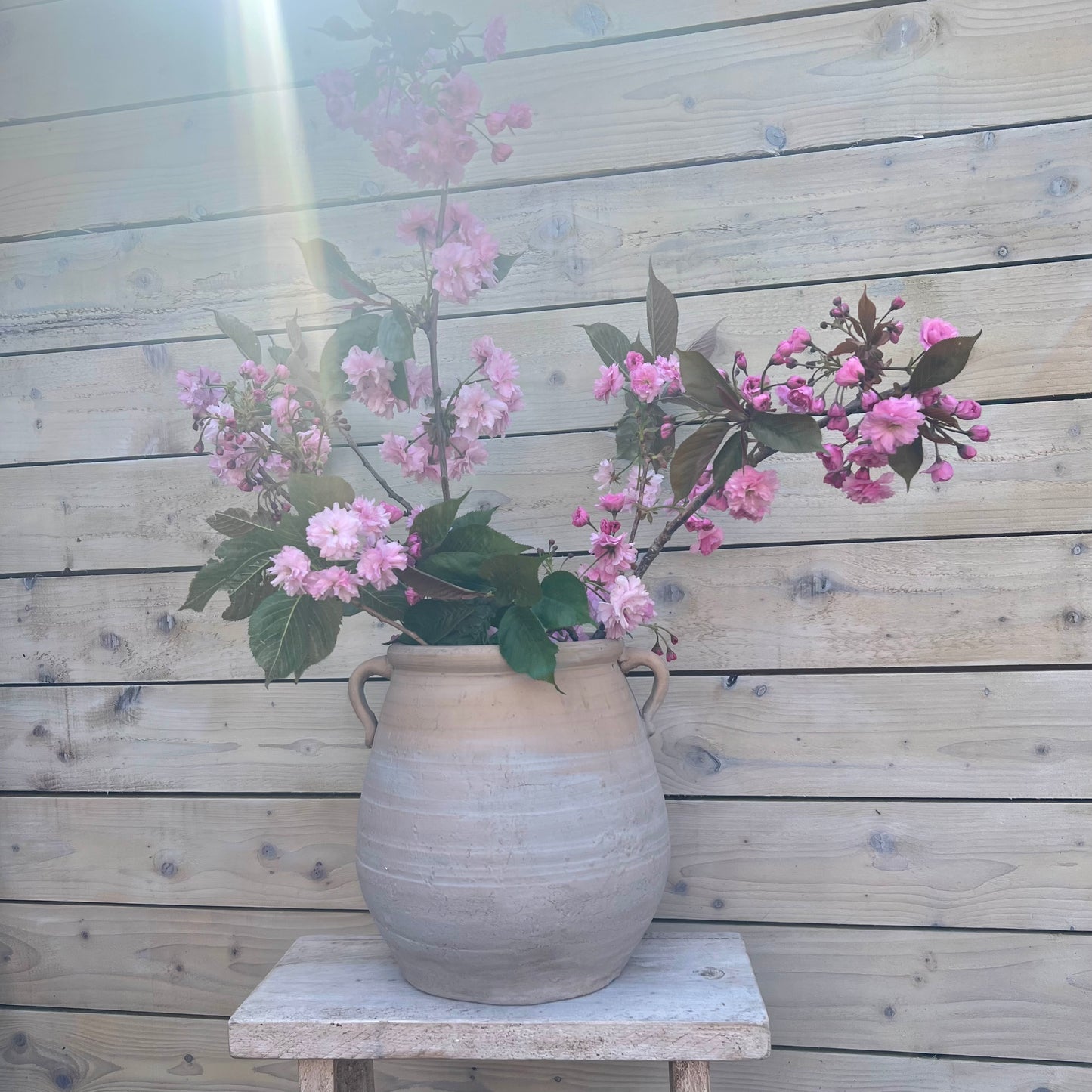 Vintage Olive Pot with handles.