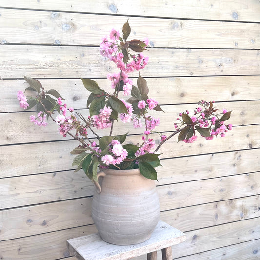 Vintage Olive Pot with handles.