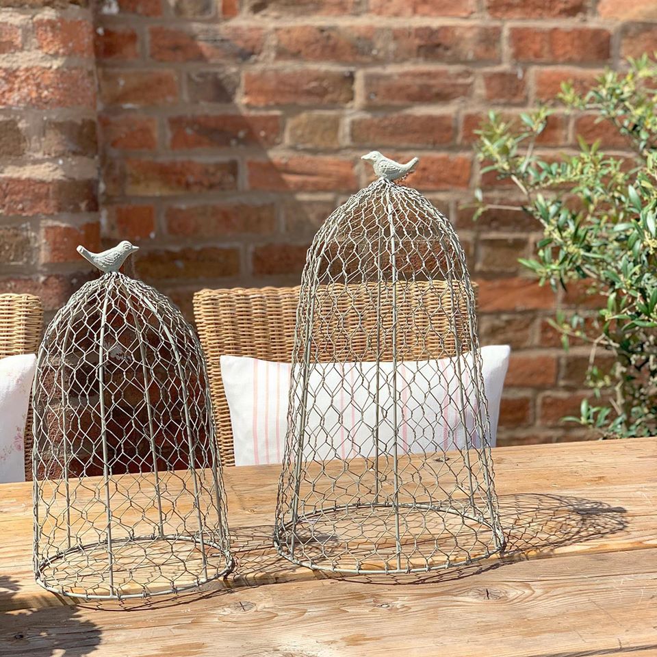 Chicken Wire Cloche