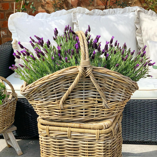 Baskets with Handles