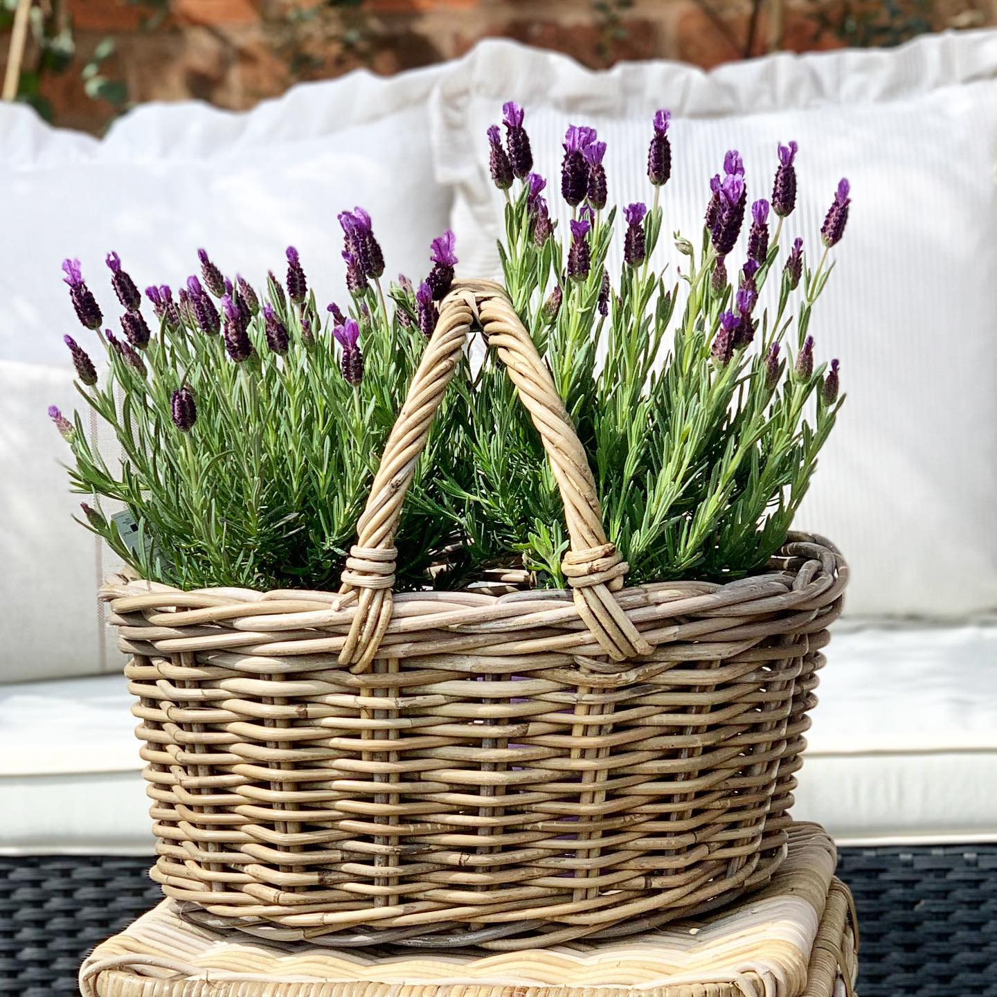 Baskets with Handles