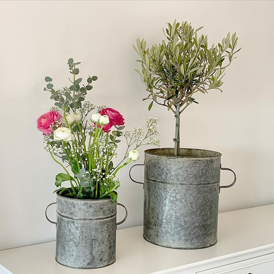 Zinc Pots with Handles