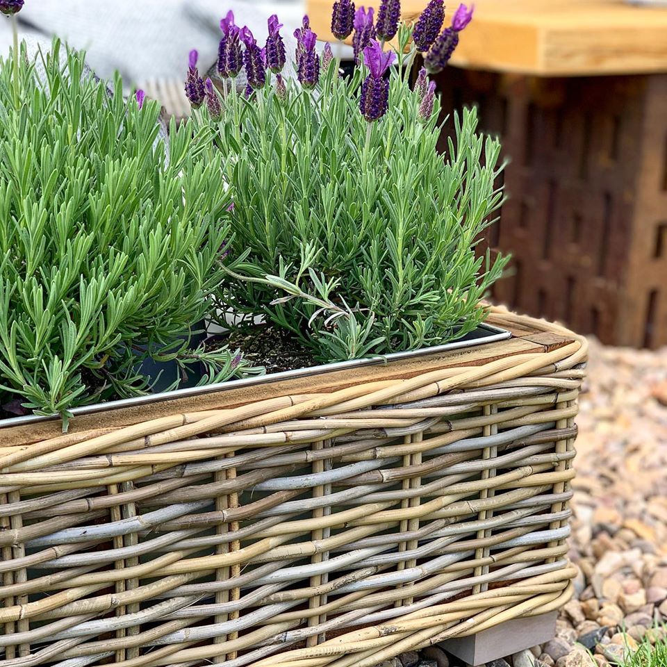 Rattan Oblong Trough