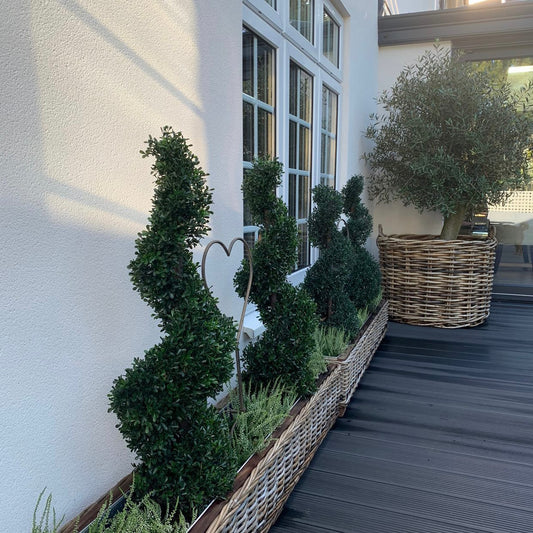 Rattan Oblong Trough