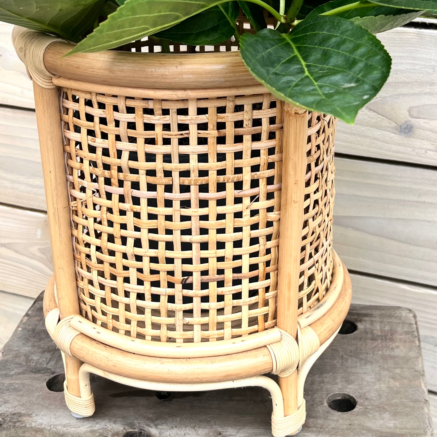 French Wicker Plant Stand