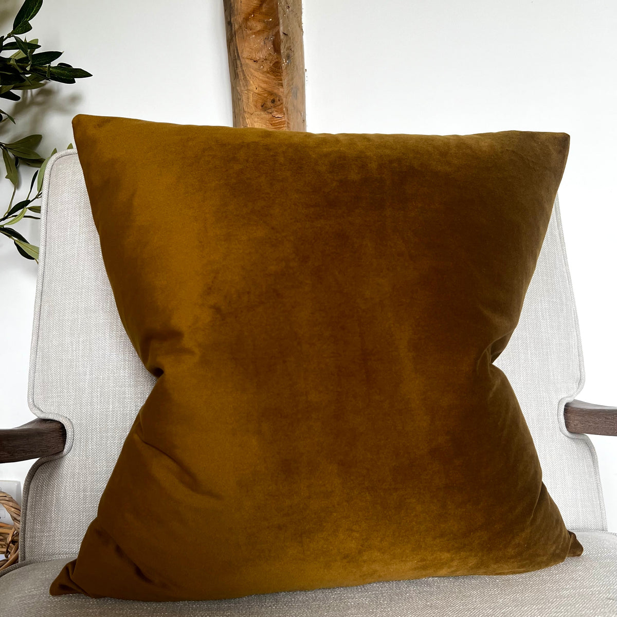 Velvet Cushions