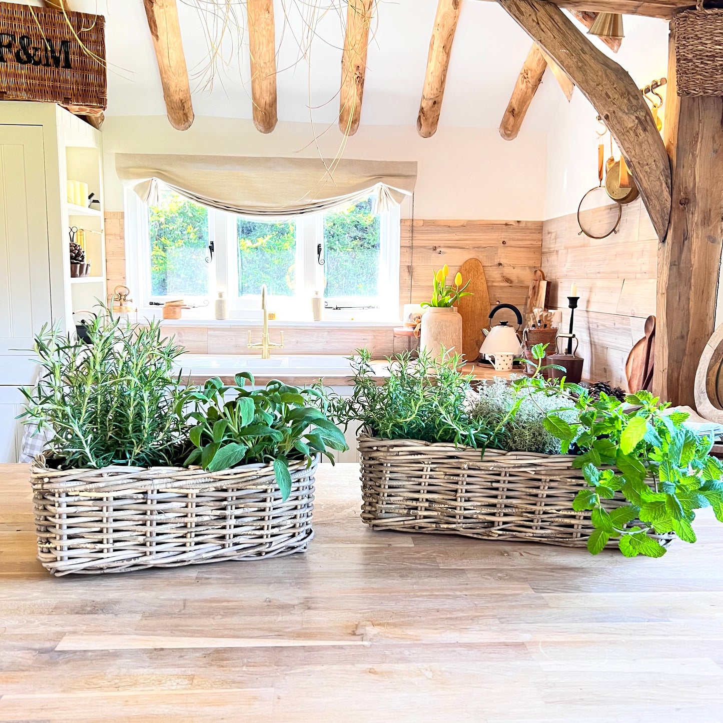 Set of 3 Rectangle Planters