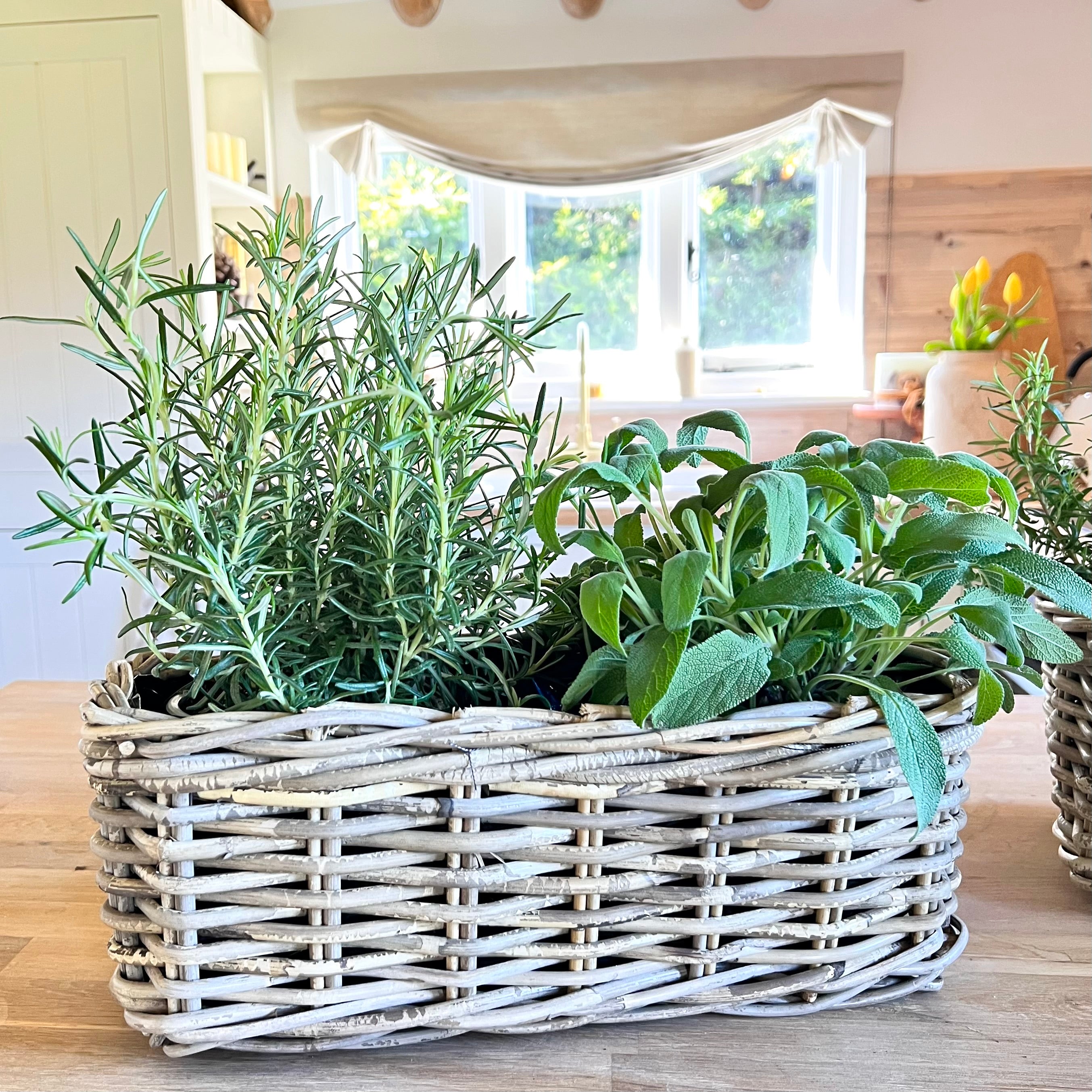 Set of 3 Rectangle Planters – Country Abodes