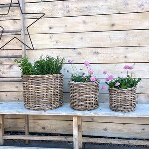 Wicker Planters with Water Proof Lining