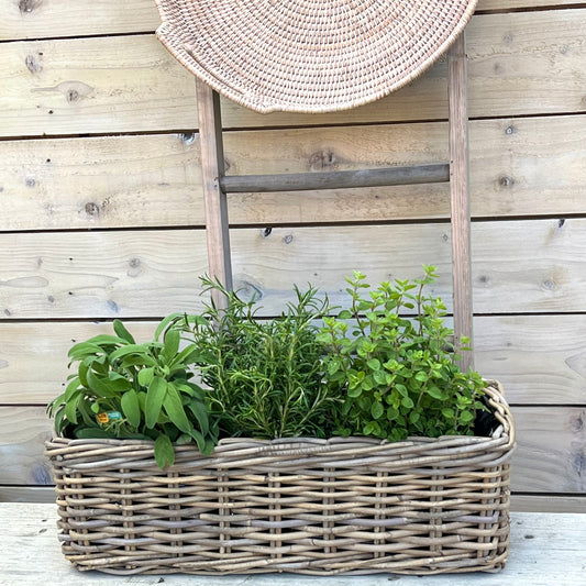 Wicker Rectangle  Planter