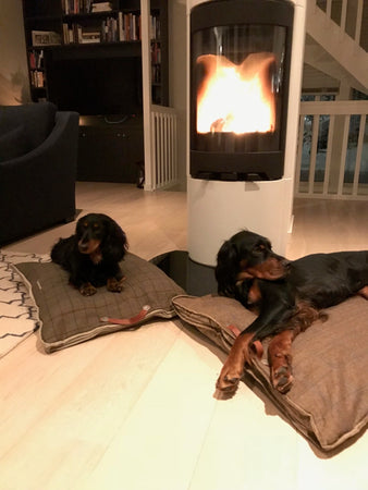 Dogs on dog beds in front of wood burning stove
