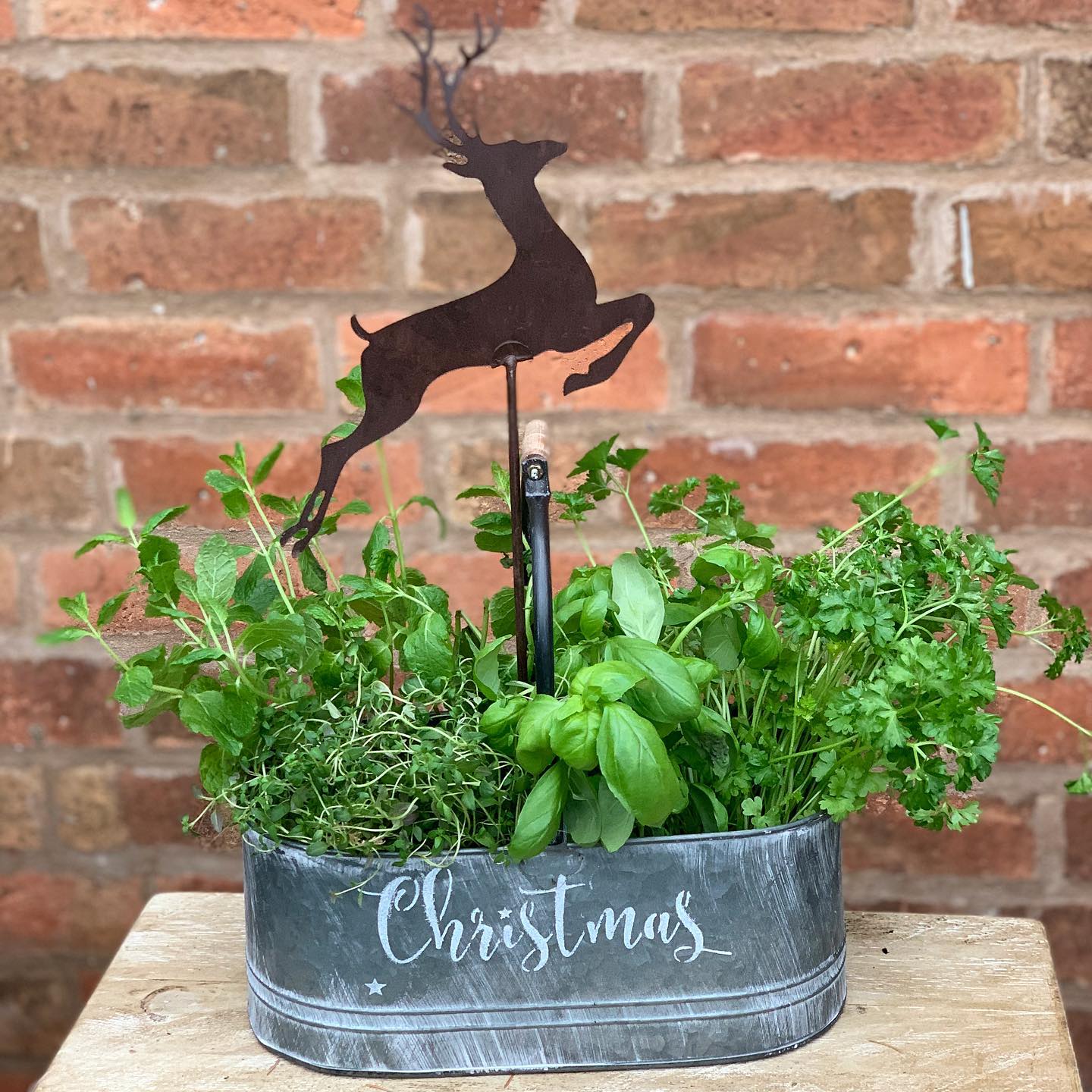 Leaping Stag Stakes