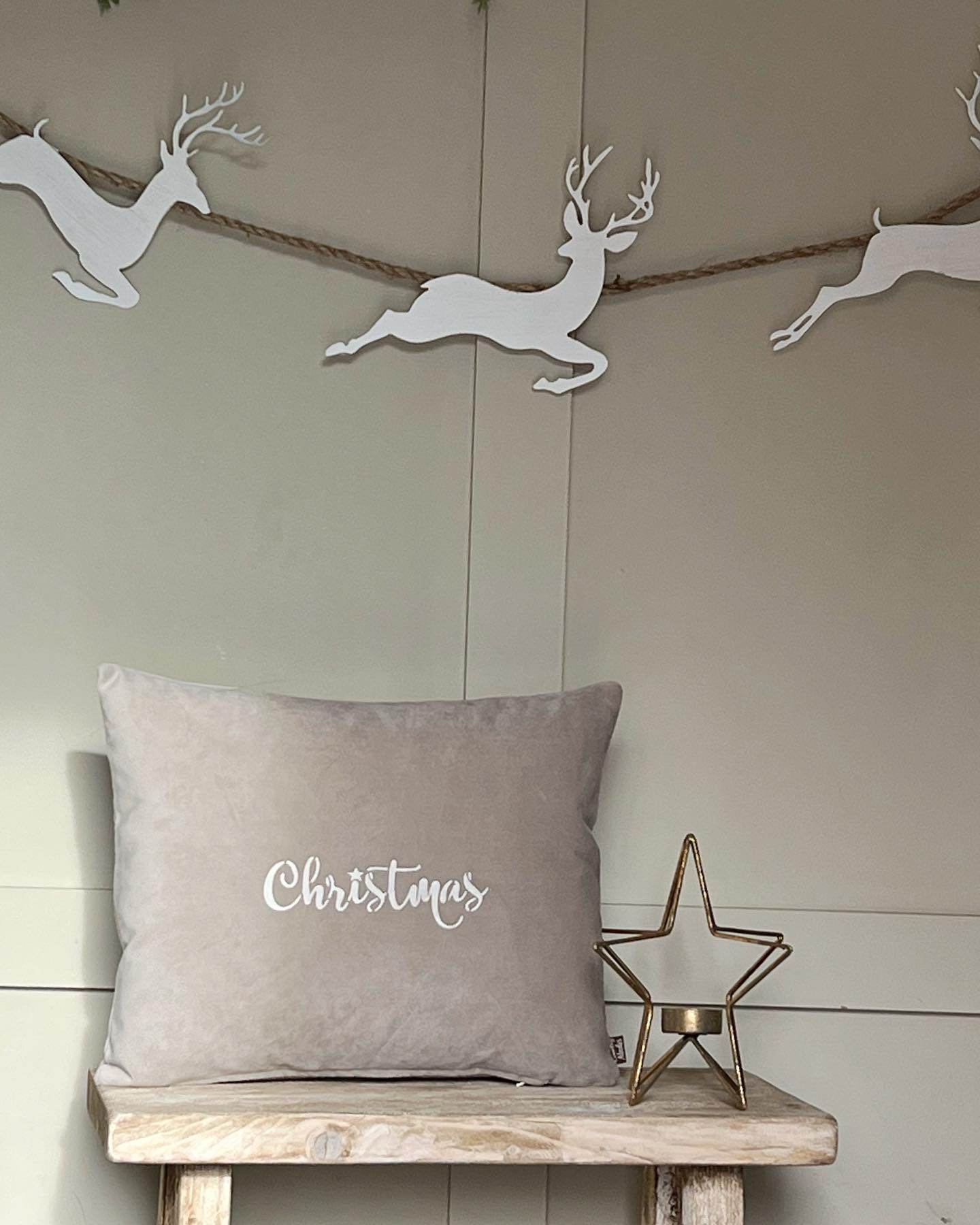 Velvet "Christmas" Oblong Cushion